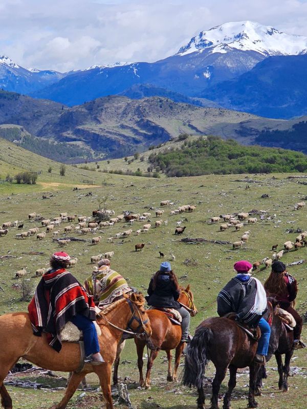 Coyhaique Tours en Coyhaique
