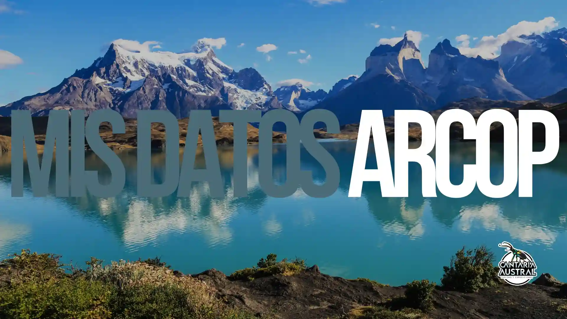 Diseño web profesional de Paskall Web para proyectar confianza y liderazgo digital