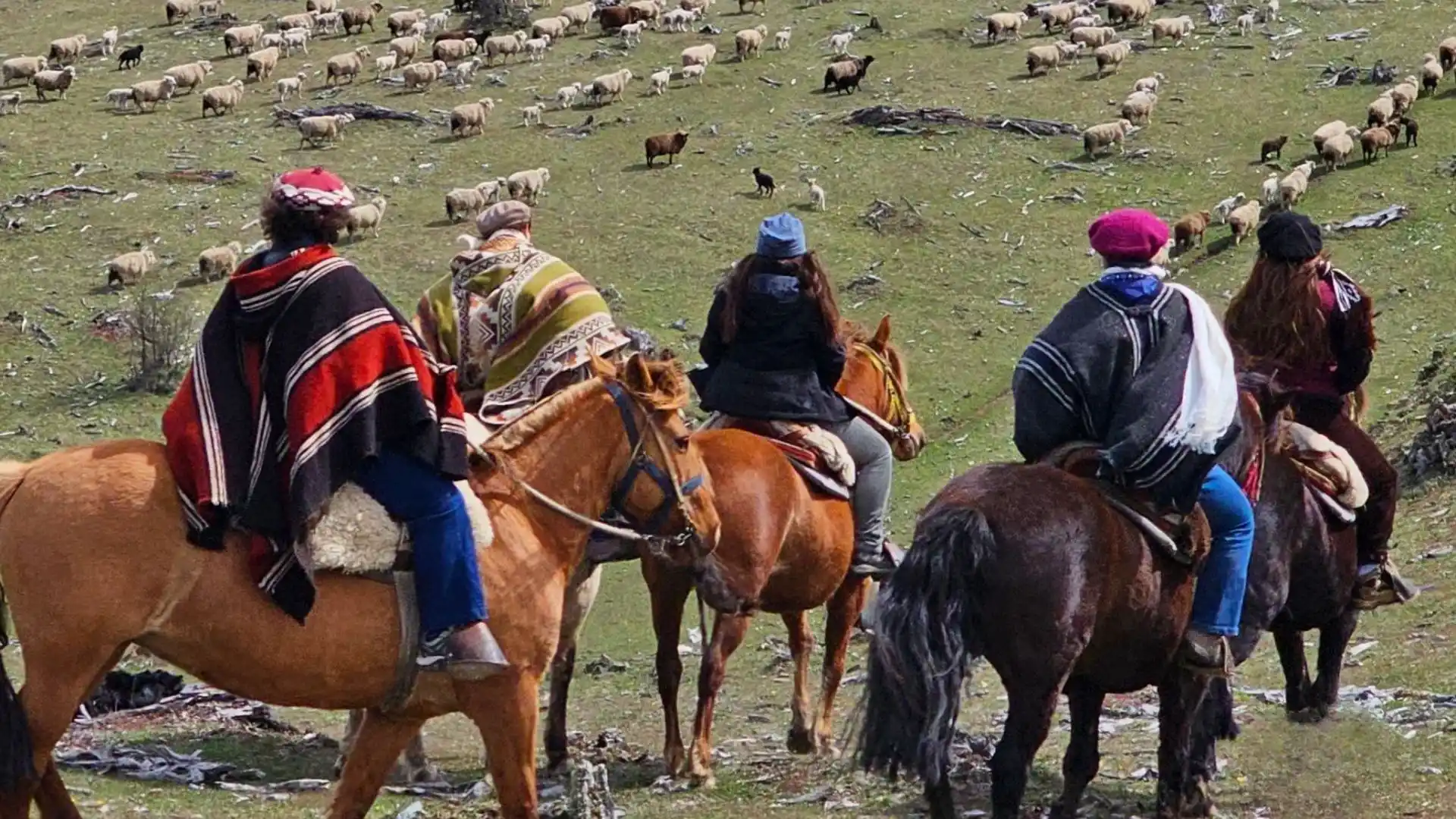 Cabalgata guiada por senderos de montaña y bosques en Villa Ortega cerca de Coyhaique