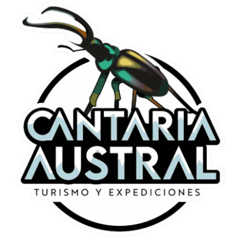 Cantaria Austral