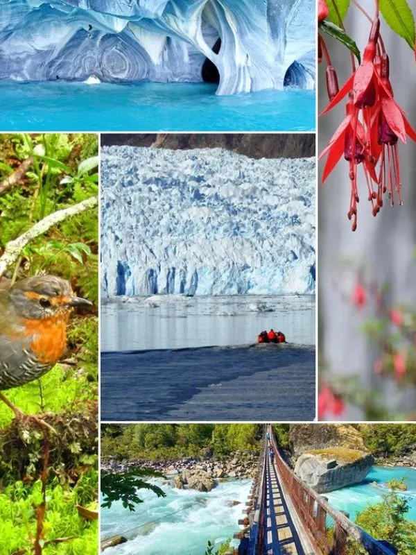 Vive la Experiencia Cantaria Austral — Turismo Aysén Turistas disfrutando de la naturaleza y paisajes en tour de Cantaria Austral en la Carretera Austral